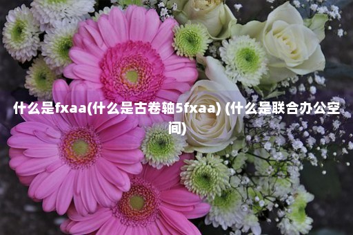 什么是fxaa(什么是古卷轴5fxaa) (什么是联合办公空间)