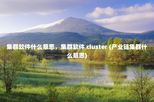 集群软件什么意思，集群软件 cluster (产业链集群什么意思)