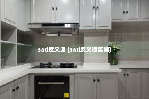 sad反义词 (sad反义词英语)