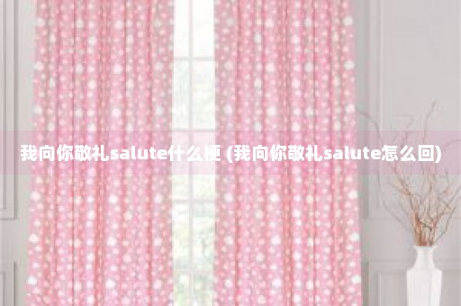 我向你敬礼salute什么梗 (我向你敬礼salute怎么回)