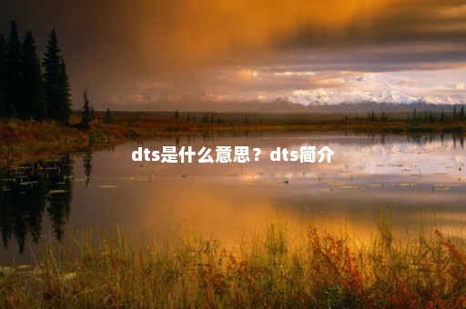 dts是什么意思？dts简介