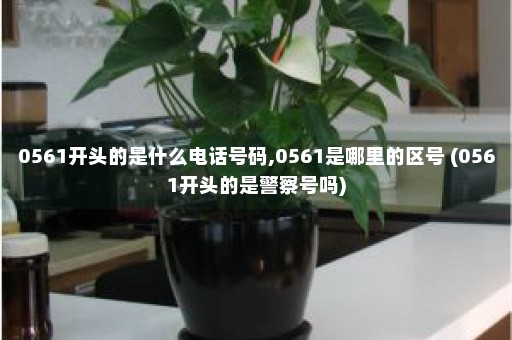 0561开头的是什么电话号码,0561是哪里的区号 (0561开头的是警察号吗)