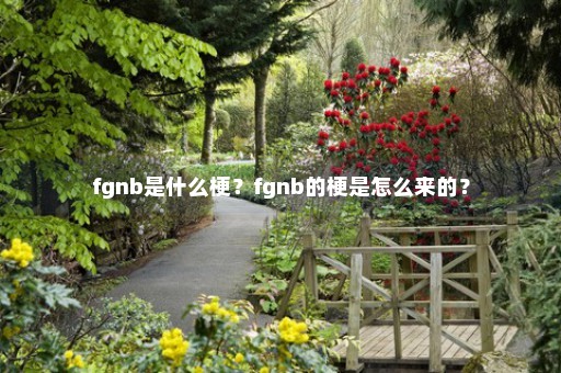 fgnb是什么梗？fgnb的梗是怎么来的？