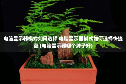 电脑显示器模式如何选择 电脑显示器模式如何选择快捷键 (电脑显示器哪个牌子好)