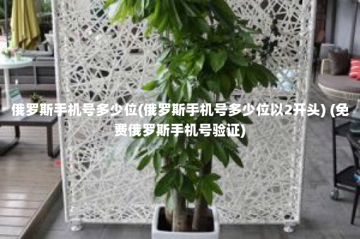 俄罗斯手机号多少位(俄罗斯手机号多少位以2开头) (免费俄罗斯手机号验证)