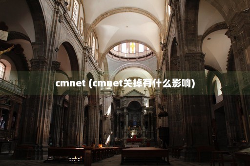 cmnet (cmnet关掉有什么影响)