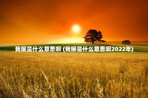 我擦是什么意思啊 (我擦是什么意思啊2022年)