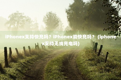 iPhonex支持快充吗？iPhonex能快充吗？ (iphonex支持无线充电吗)