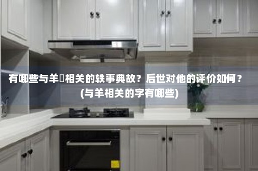 有哪些与羊琇相关的轶事典故？后世对他的评价如何？ (与羊相关的字有哪些)