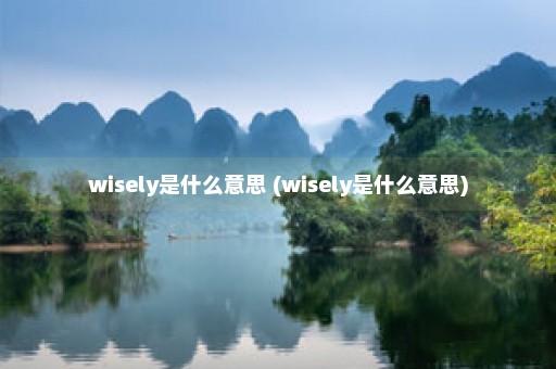 wisely是什么意思 (wisely是什么意思)