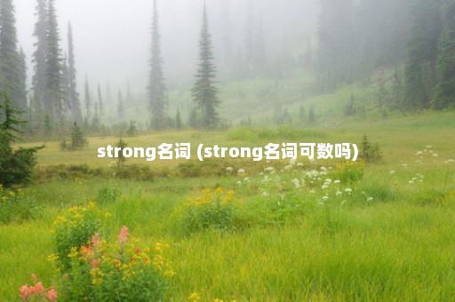 strong名词 (strong名词可数吗)