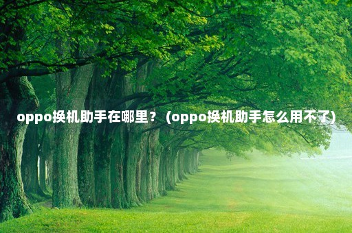 oppo换机助手在哪里？ (oppo换机助手怎么用不了)