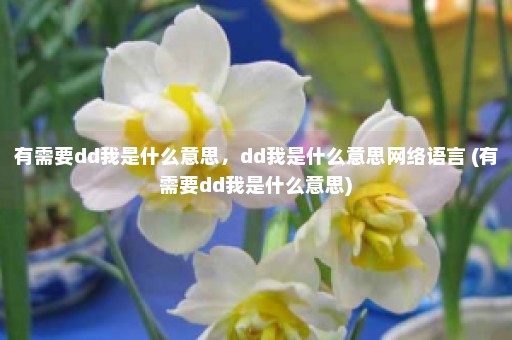 有需要dd我是什么意思，dd我是什么意思网络语言 (有需要dd我是什么意思)