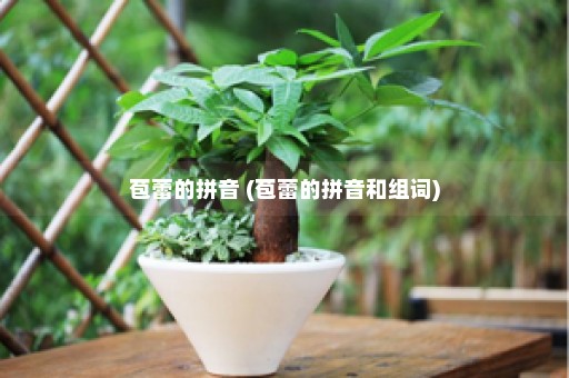 苞蕾的拼音 (苞蕾的拼音和组词)