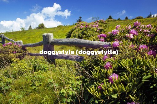 doggystyle (doggystytle)