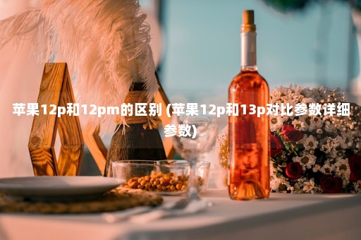 苹果12p和12pm的区别 (苹果12p和13p对比参数详细参数)