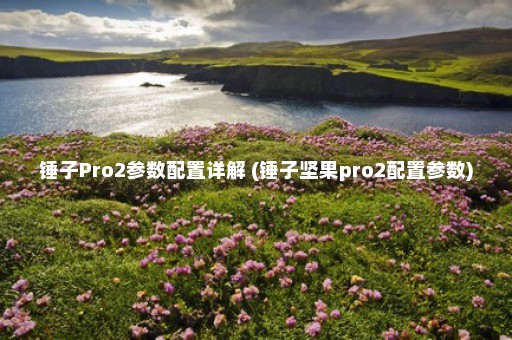 锤子Pro2参数配置详解 (锤子坚果pro2配置参数)