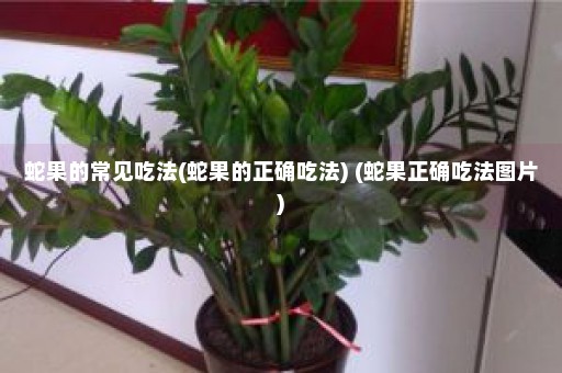 蛇果的常见吃法(蛇果的正确吃法) (蛇果正确吃法图片)