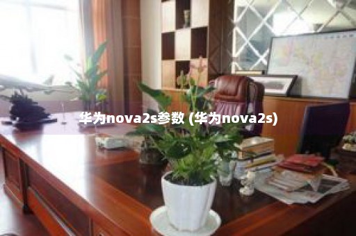 华为nova2s参数 (华为nova2s)