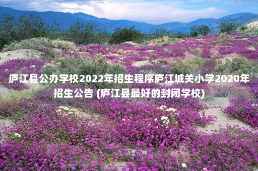 庐江县公办学校2022年招生程序庐江城关小学2020年招生公告 (庐江县最好的封闭学校)