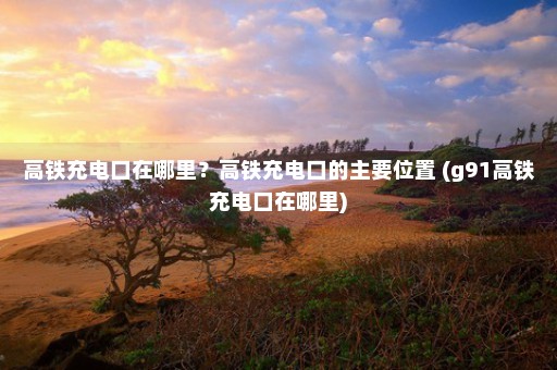 高铁充电口在哪里？高铁充电口的主要位置 (g91高铁充电口在哪里)