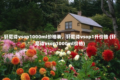 轩尼诗vsop1000ml价格表，轩尼诗vsop1升价格 (轩尼诗vsop1000ml价格)