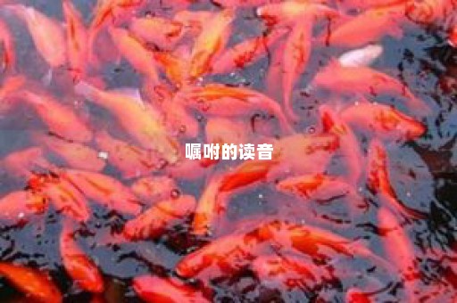 嘱咐的读音