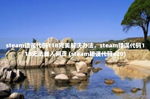 steam错误代码118完美解决办法，steam错误代码118无法载入网页 (steam错误代码e20)