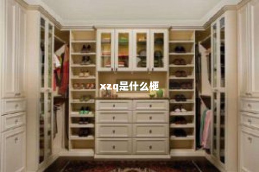 xzq是什么梗