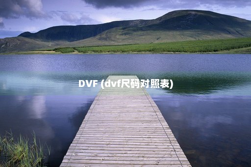 DVF (dvf尺码对照表)