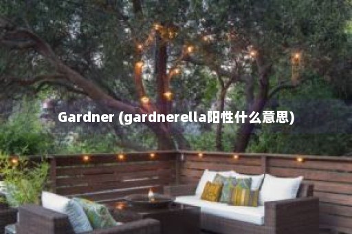 Gardner (gardnerella阳性什么意思)