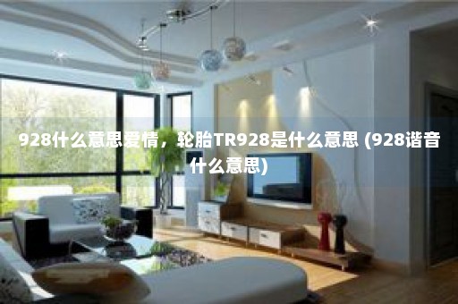 928什么意思爱情，轮胎TR928是什么意思 (928谐音什么意思)