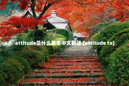 attitude是什么意思中文翻译 (attitude to)