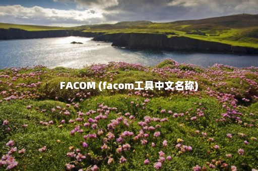 FACOM (facom工具中文名称)