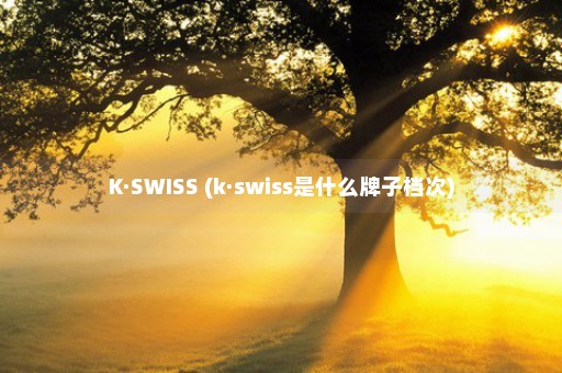 K·SWISS (k·swiss是什么牌子档次)