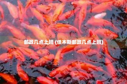 邮政几点上班 (佳木斯邮政几点上班)