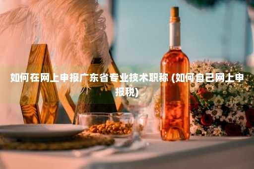 如何在网上申报广东省专业技术职称 (如何自己网上申报税)