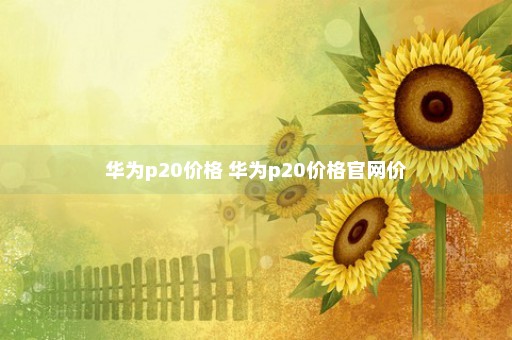 华为p20价格 华为p20价格官网价