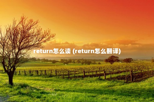 return怎么读 (return怎么翻译)