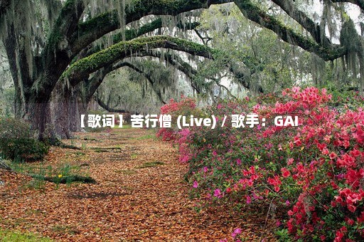 【歌词】苦行僧 (Live) / 歌手：GAI