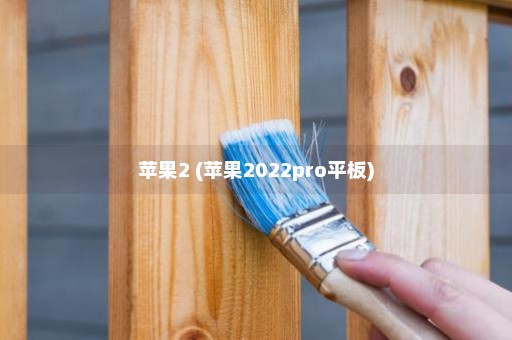 苹果2 (苹果2022pro平板)