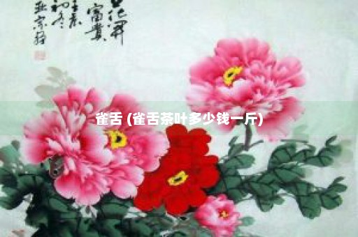 雀舌 (雀舌茶叶多少钱一斤)