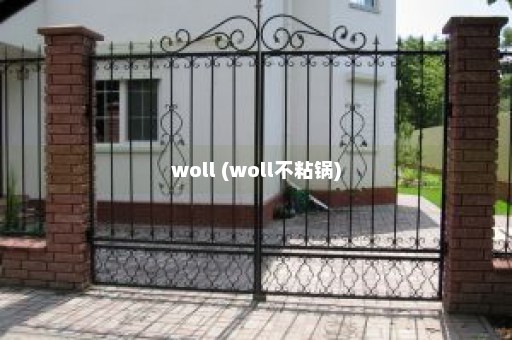 woll (woll不粘锅)