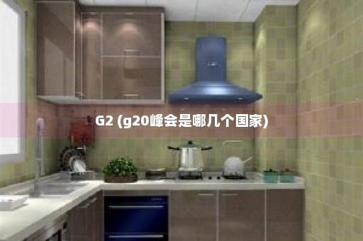 G2 (g20峰会是哪几个国家)