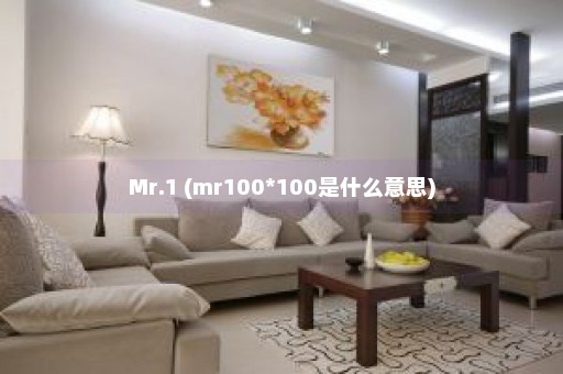 Mr.1 (mr100*100是什么意思)