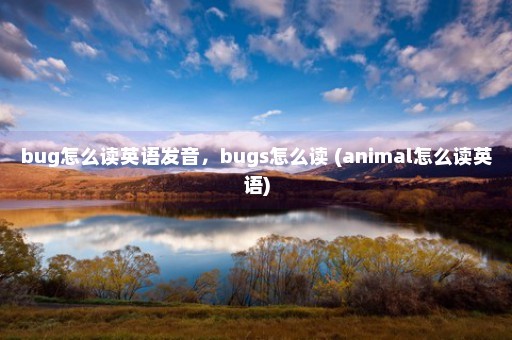 bug怎么读英语发音，bugs怎么读 (animal怎么读英语)