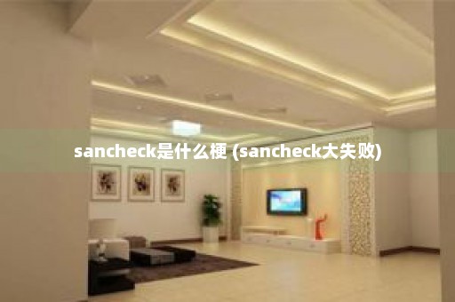 sancheck是什么梗 (sancheck大失败)