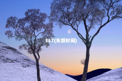 EST(东部时间)