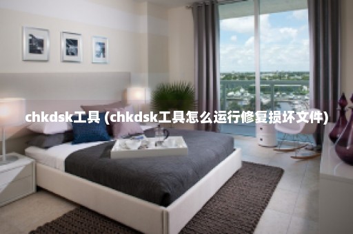 chkdsk工具 (chkdsk工具怎么运行修复损坏文件)