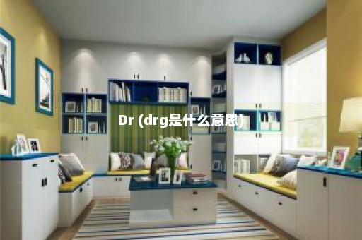 Dr (drg是什么意思)